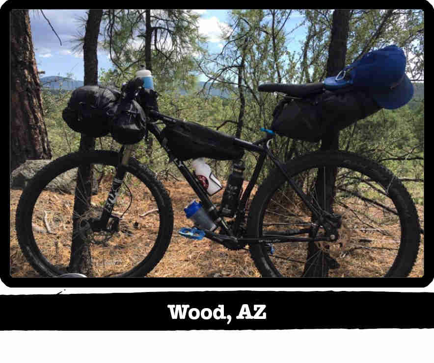 Left side view of a Surly bike, loaded with gear, in the pine trees - Wood, AZ tag below image