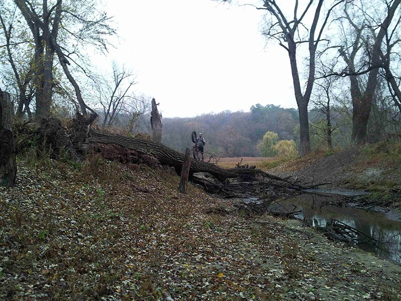 Front view of a cyclist, standing with their bike with the front wheel up, on a fallen tree over a river in the woods