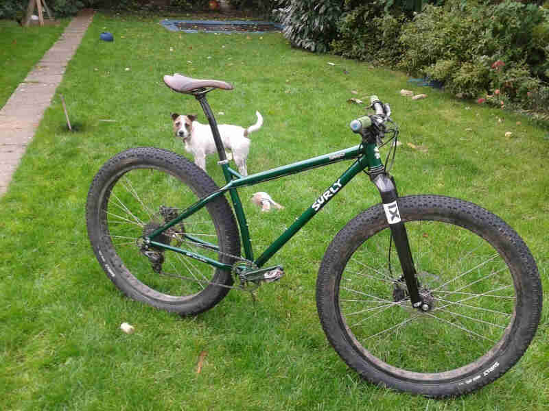 Right side view of a green Surly Krampus bike, with a small dog standing behind it, on a grass yard with shrubs