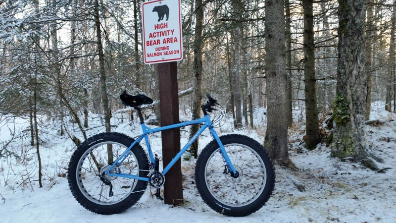 Right side view of a blue Surly fat bike, parked in snow against a, High Activity Bear Area, sign post in the forest 