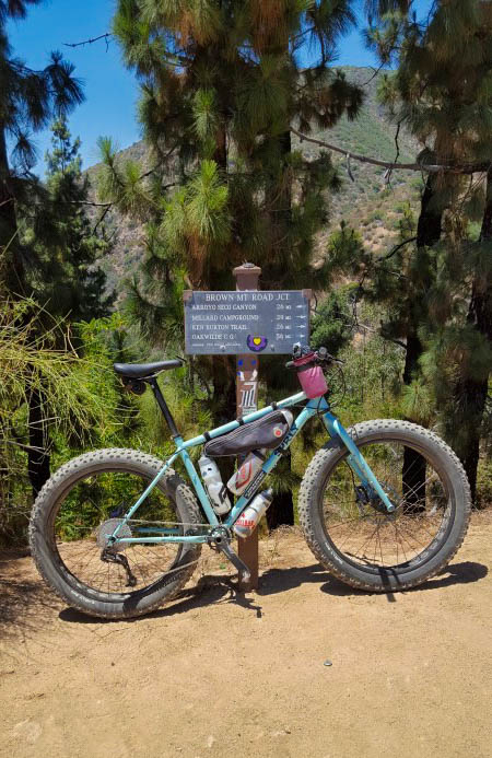 Right profile of a Surly Wednesday MY17 fat bike, mint, parked on dirt in front of sign, with trees in the background
