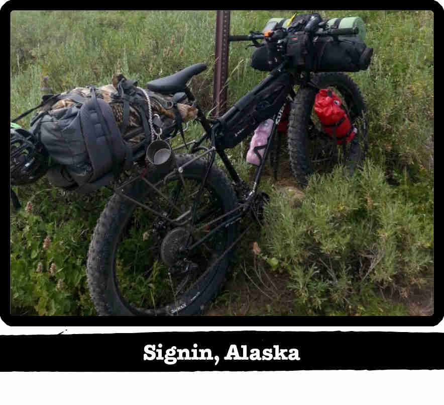 Rear right side view of a Surly fat bike, loaded with gear, in deep brush - Signin, Alaska tag below image