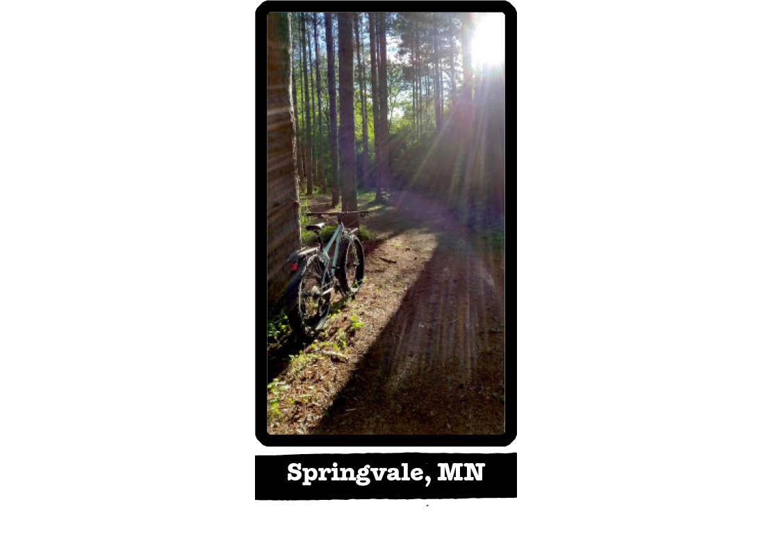 Rear view of a Surly bike on the side of a forest trail, with sun rays shining through - Springvale, MN tag below image