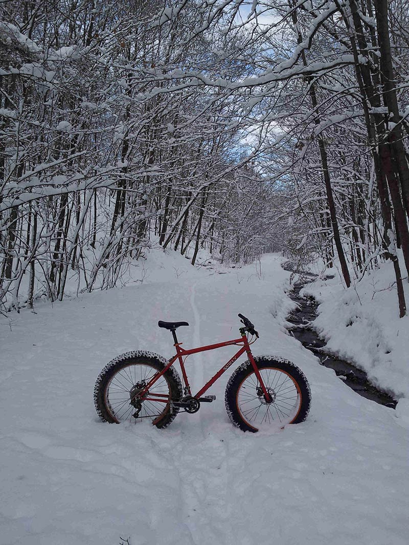 Right side view of a red Surly Moonlander fat bike, parked across a trail, in the snow covered woods