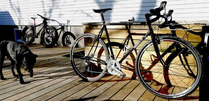 Right side view of a black Surly Cross Check bike, parked on the deck of a house, next to a black dog