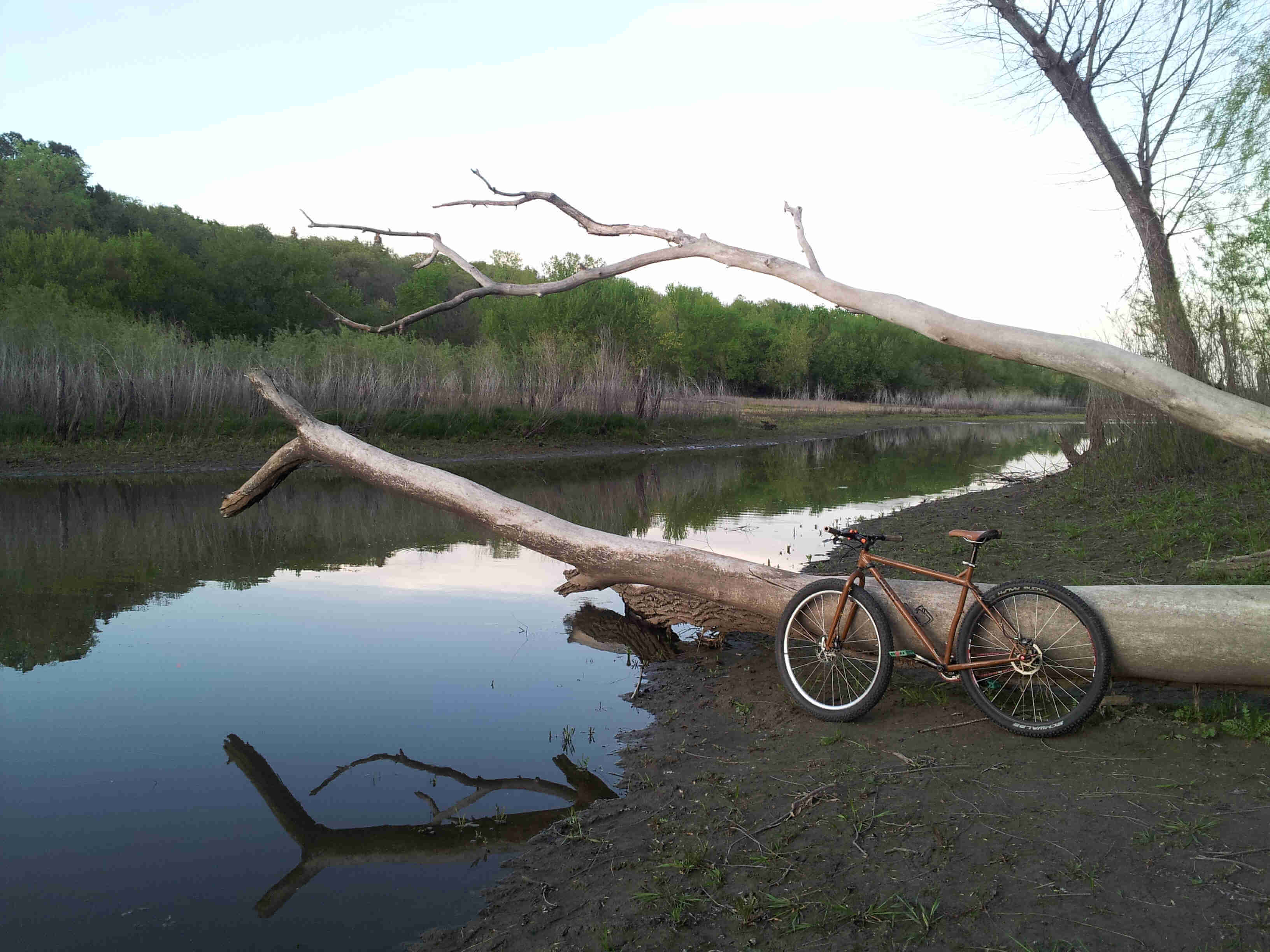 Left side view of a brown Surly Karate Monkey bike, leaning against a downed tree, on a muddy bank facing a river
