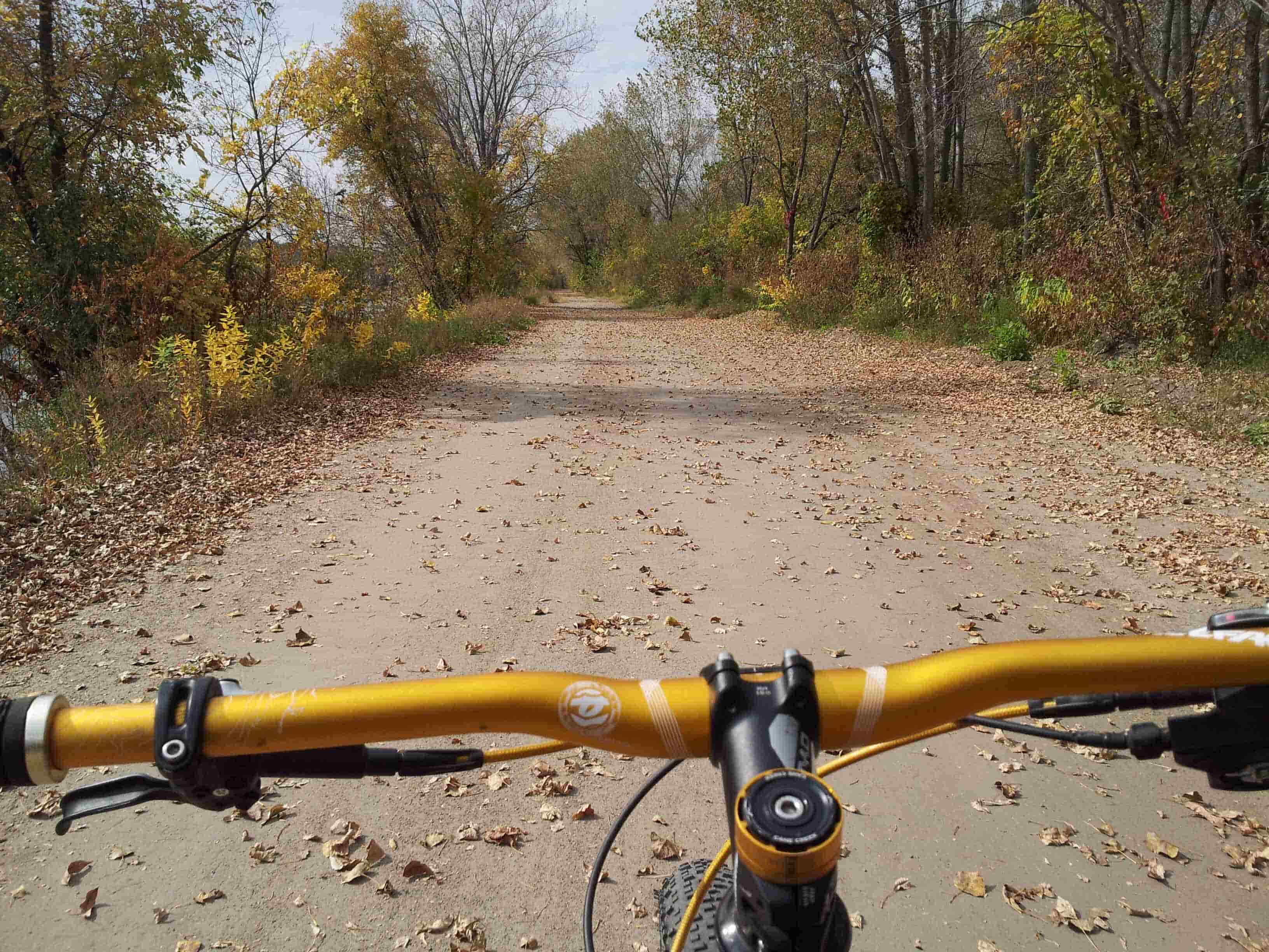 Handlebars of a Surly Krampus bike, facing straight down a gravel road, with changing trees on both sides