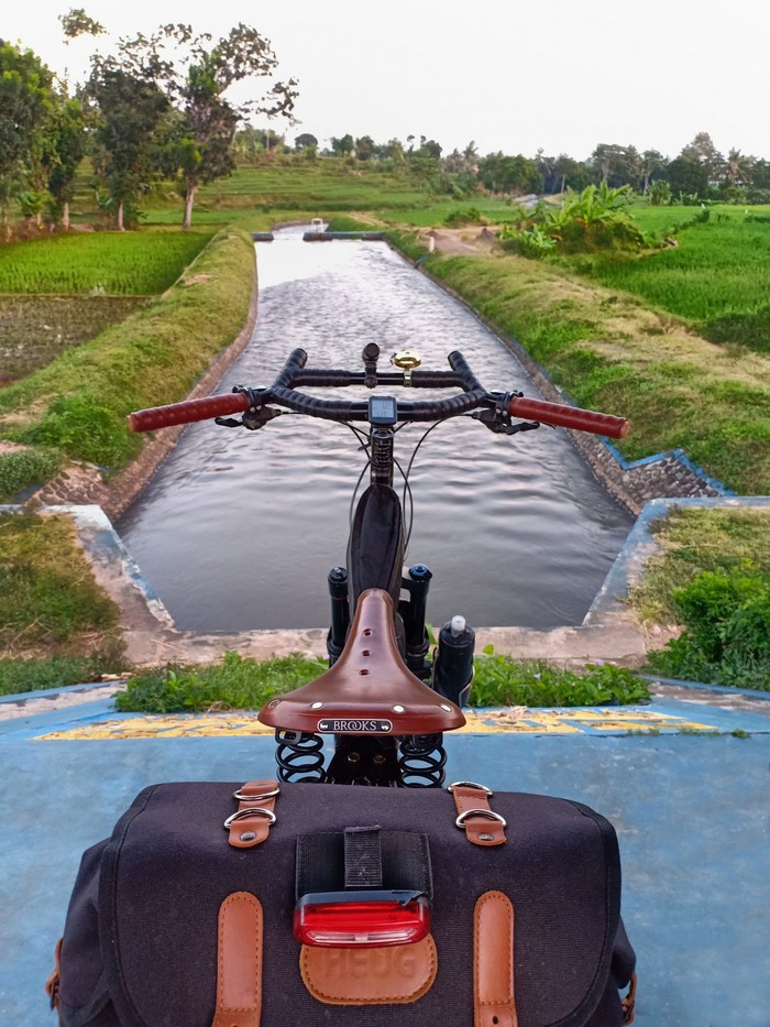 Rear view of Surly bike with a seat pack and Brooks seat facing a canal between rice fields