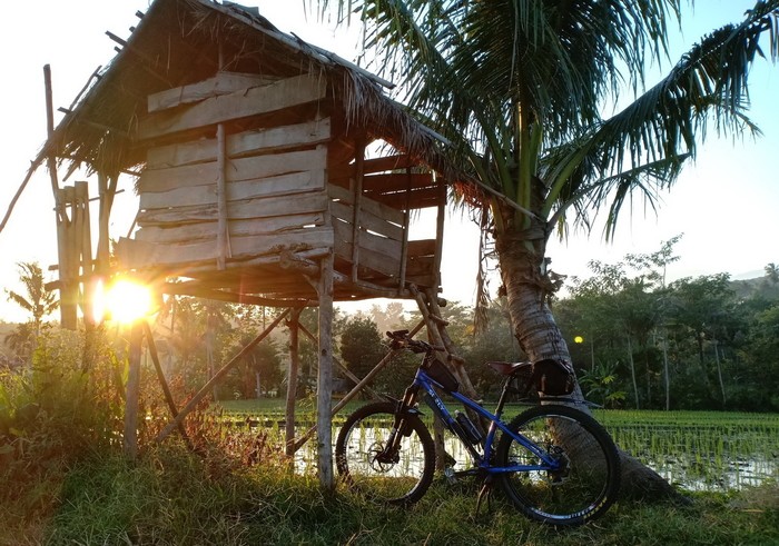 Blue Surly Karate Monkey bike in front of a palm tree and a shack on stilts with the sun just above the trees