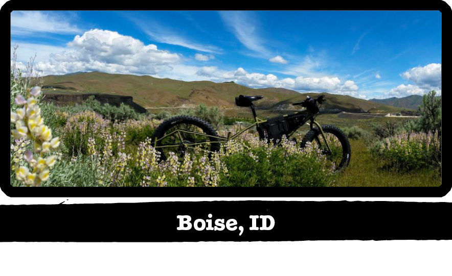 Left side view of a Surly Big Fat Dummy bike, green, in tall prairies grass - Boise, ID tag below image