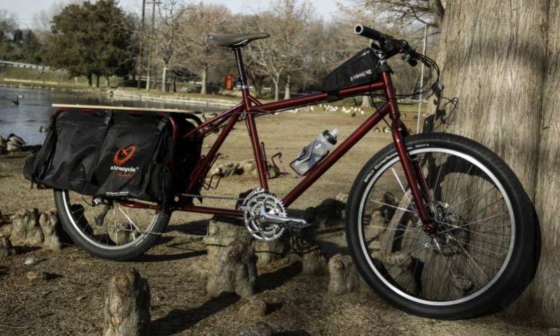 Right side view of a reddish/brown Surly Big Dummy bike, parked against a tree, with a pond in the background