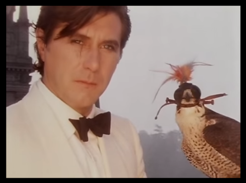 Front view of Brian Ferry, wearing a white tuxedo stares, stare forward with a falcon to his left side 