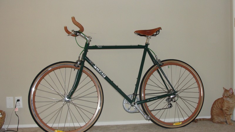 Left side view of a green Surly Pacer bike, leaning on an interior wall, with a cat sitting behind the back wheel