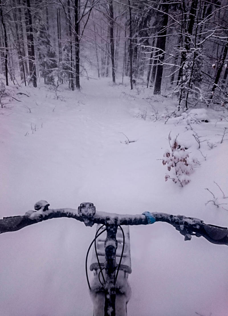 Downward, cropped view of the handlebars on a bike facing into the snowy forest