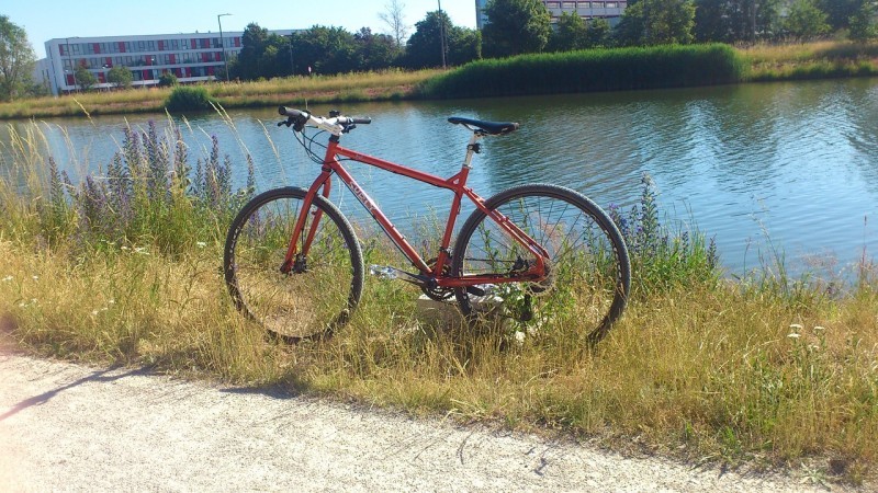 Left side view of a red Surly Troll bike, parked on the grassy bank of a pond, with trees and buildings behind