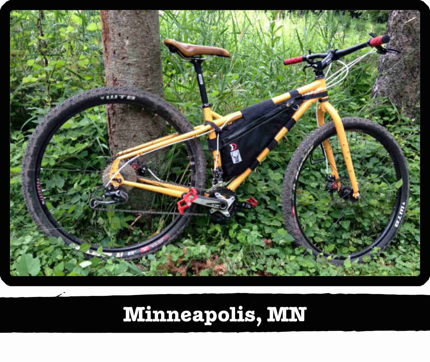 Right side view of a Surly ECR bike, yellow, against a tree in the weeds - Minneapolis, MN tag below image