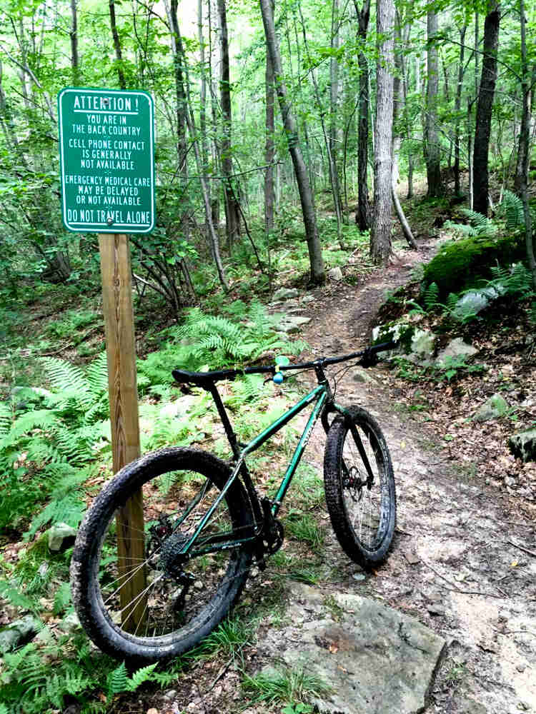 Rear, right side view of a green Surly bike, parked against a sign post, on a rocky dirt trail in the forest