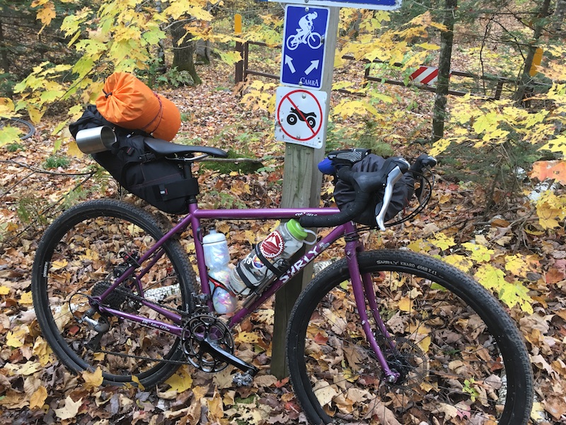 Right profile of a Surly Straggler bike, purple, loaded with gear, leaning on a 4x4 sign post on the woods