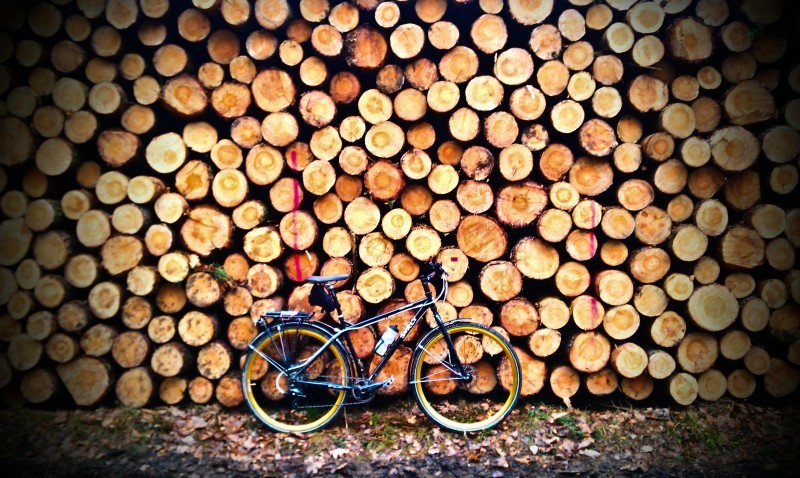 Right side view of a Surly bike, leaning on the stump end of a large stack of cut logs