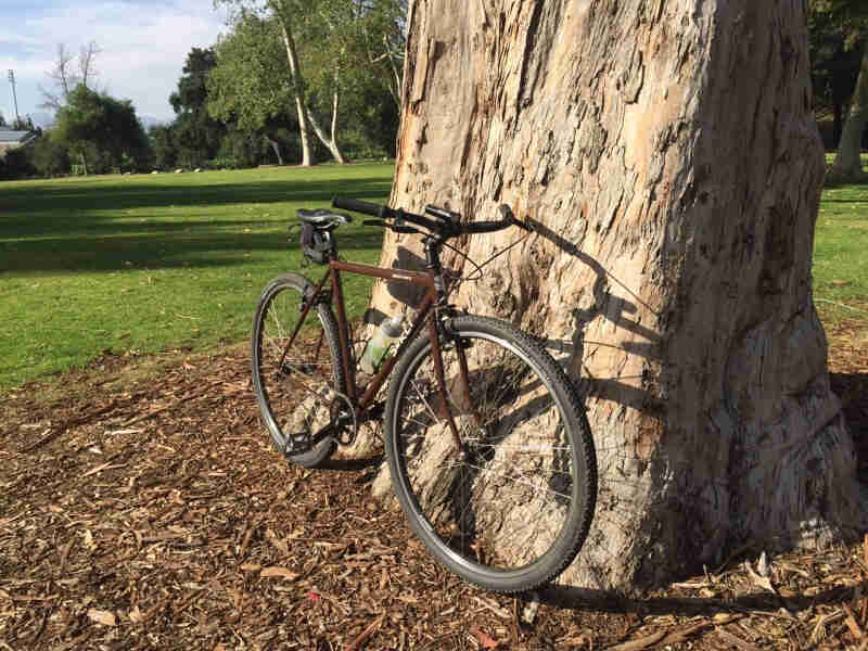 Front right side view of a brown Surly Cross Check bike, parked against a large tree in a green grass field