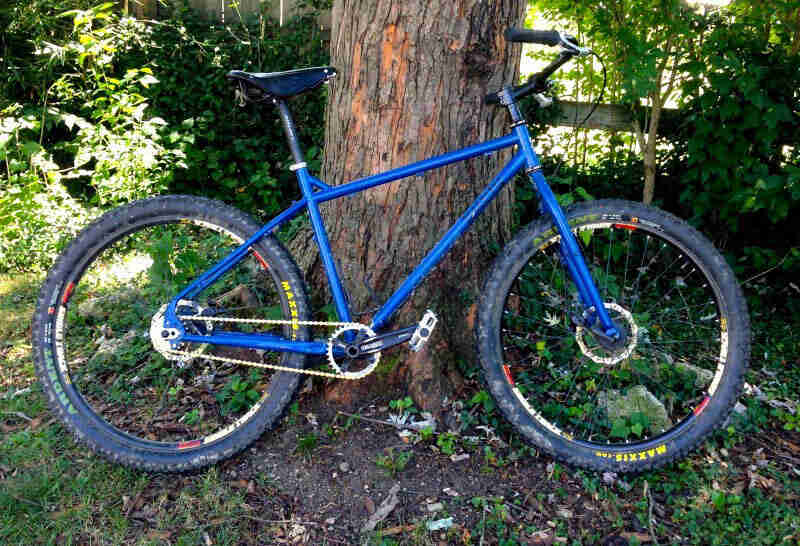 Right profile of a  blue Surly Troll bike, leaning against a tree, with the woods in the background