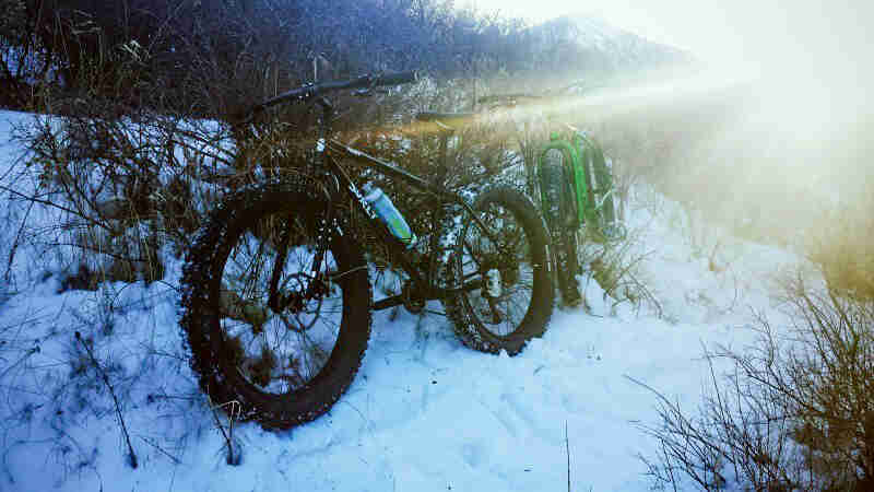 Left side view of a black Surly fat bike, parked in the snow and weeds, with another bike behind, in the woods