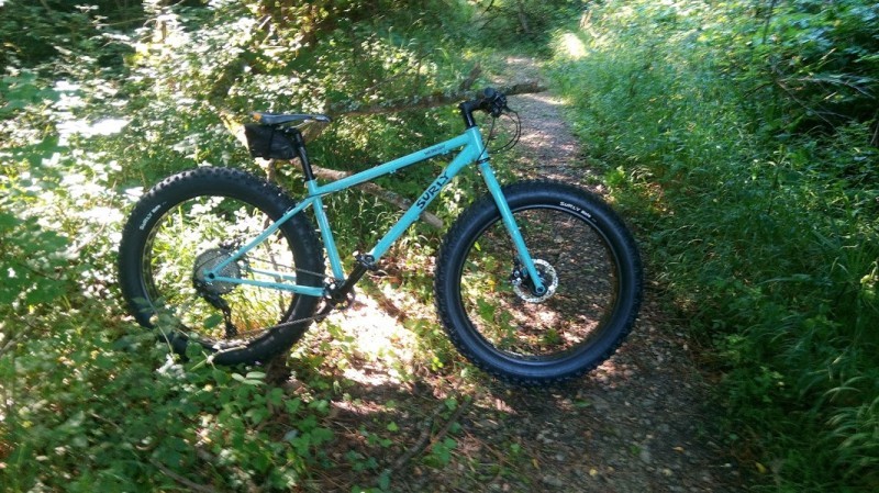 Right profile of a Surly Wednesday MY17 fat bike, turquoise, parked across a dirt trail in the weeds