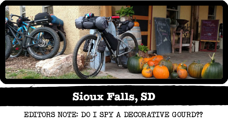 Front Left view of a Surly Karate Monkey bike, silver, in front of a store with gourds - Sioux Falls, SD tag below image