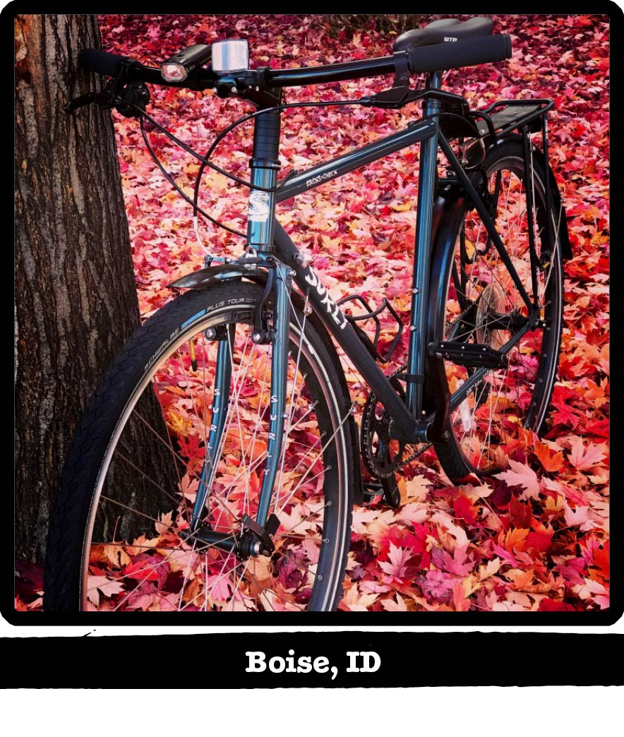 Front view of angle left side of a Surly bike leaning on a tree in colorful leaves-Boise, ID banner under image