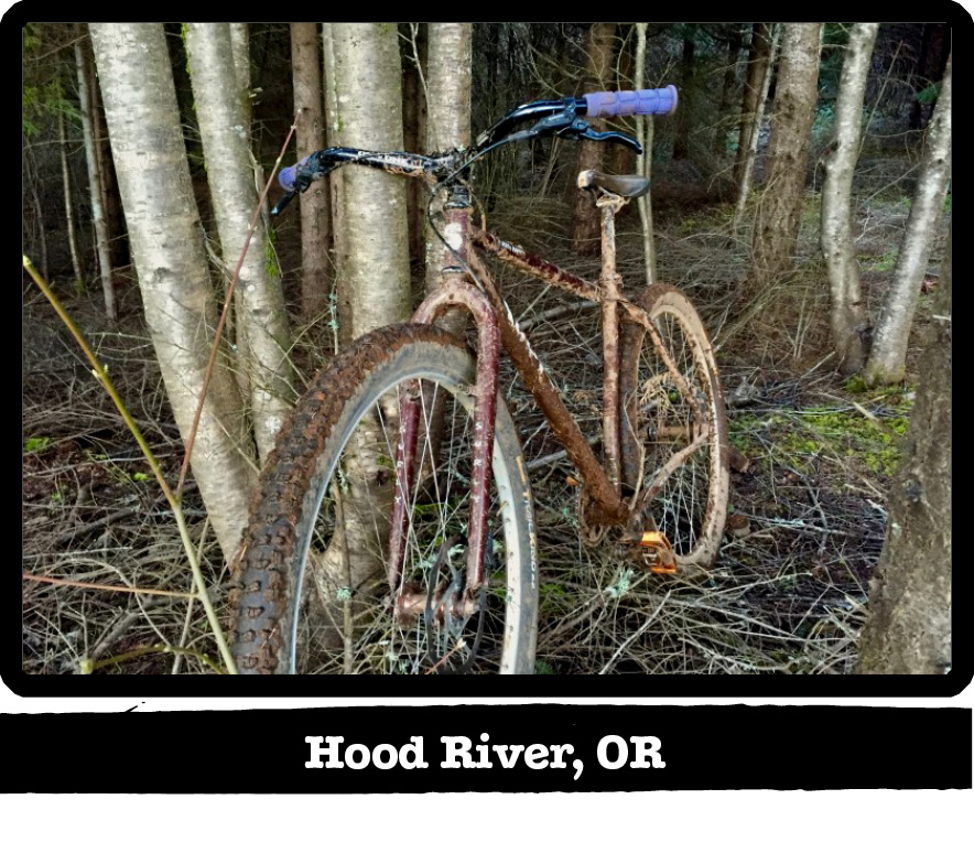 Front view of a muddy Surly bike against a cluster of trees in the woods-Hood River, Oregon banner shown below image