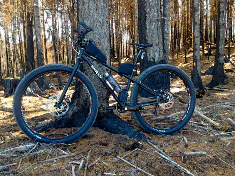 Left side view of a Surly Krampus bike, black, in front of a tree in the forest