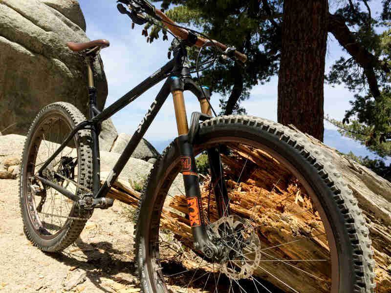 Front, right side view of a black Surly Krampus, facing downward on boulder with a tree stump laying on it