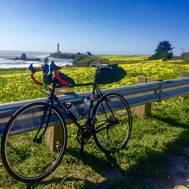 Left side view of a black Surly bike, leaning on a guardrail, with a field with yellow flowers and ocean cliffs behind
