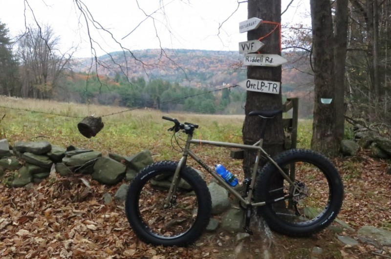 Left side view of an olive drab Surly fat bike, leaning on a tree with signs, and a grass field with trees in background