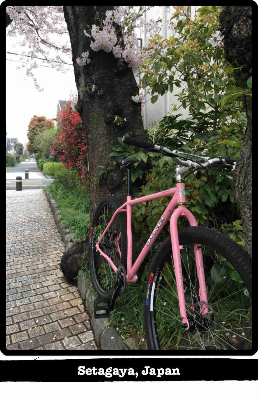 Front left view of a Surly Karate Monkey bike, pink, in the weeds alongside a sidewalk - Setagaya, Japan tag below image