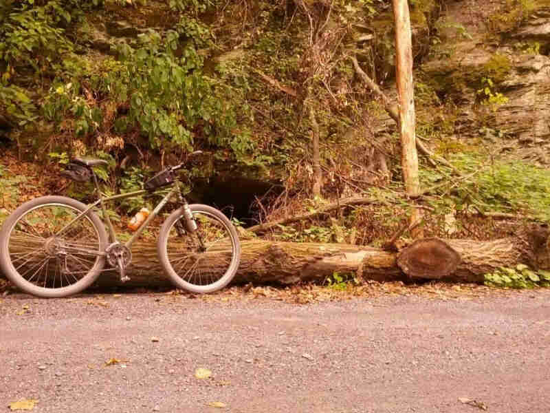 Right side view of a green Surly bike, next to a log on the side of a gravel road, with a cliff wall and trees behind it