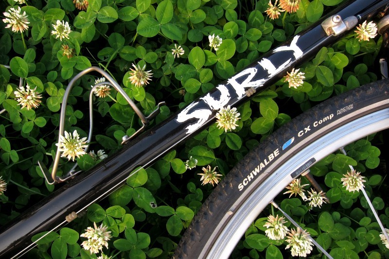 Downward, cropped view of a bike downtube with a Surly bikes logo on it, laying in clover