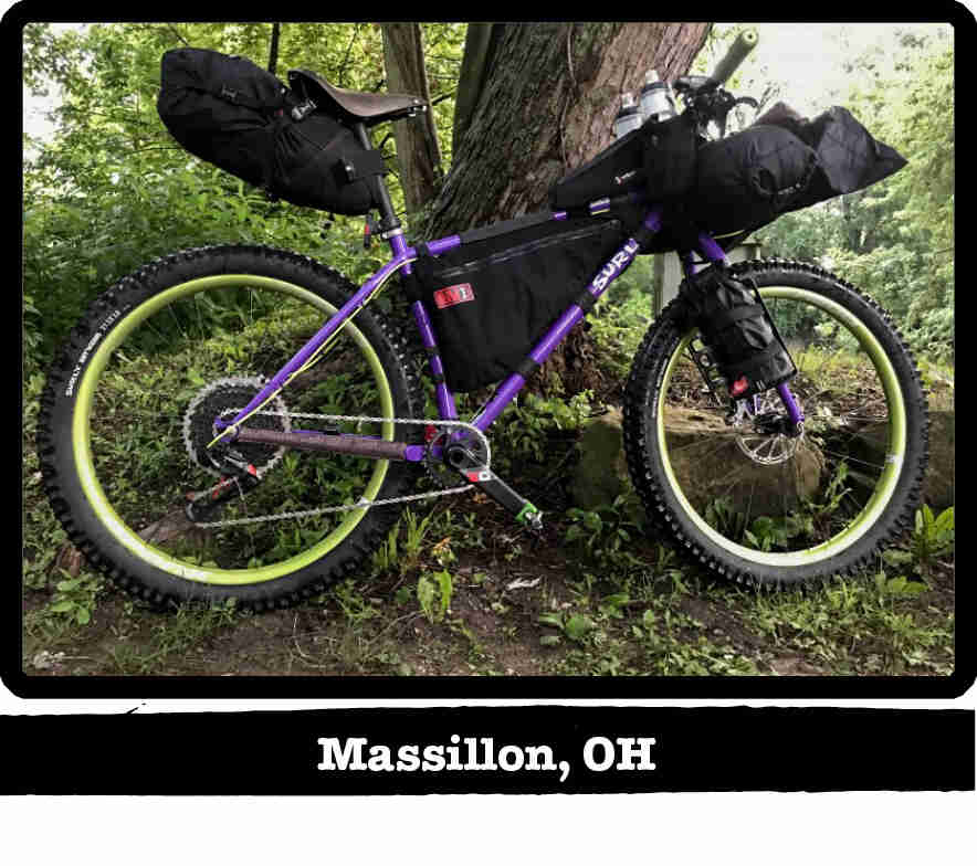 Right profile of a Surly Karate Monkey bike, purple, in front of a tree in the woods - Massillon, OH tag below image