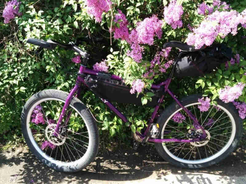Left side view of a purple Surly Troll bike, parked against a lilac bush