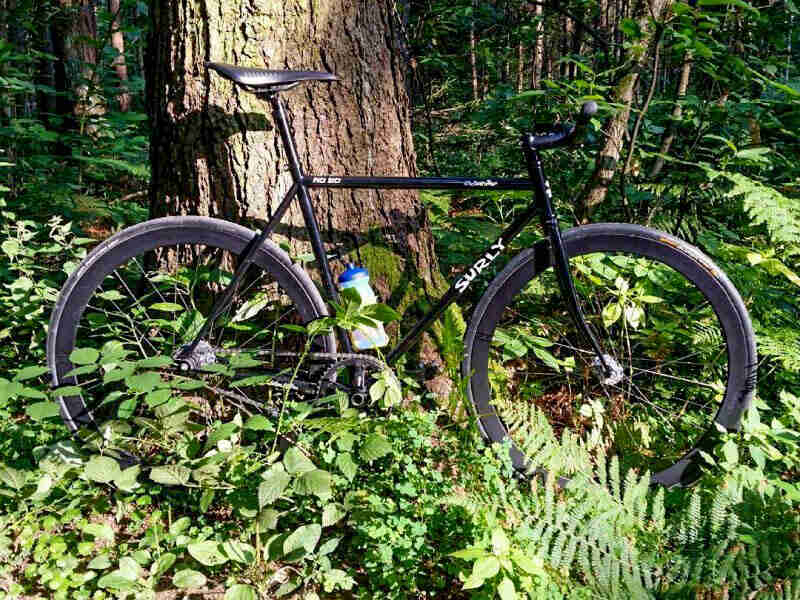 Right side view of a Surly Steamroller bike, black, parked in weeds, in front of a tree in the forest