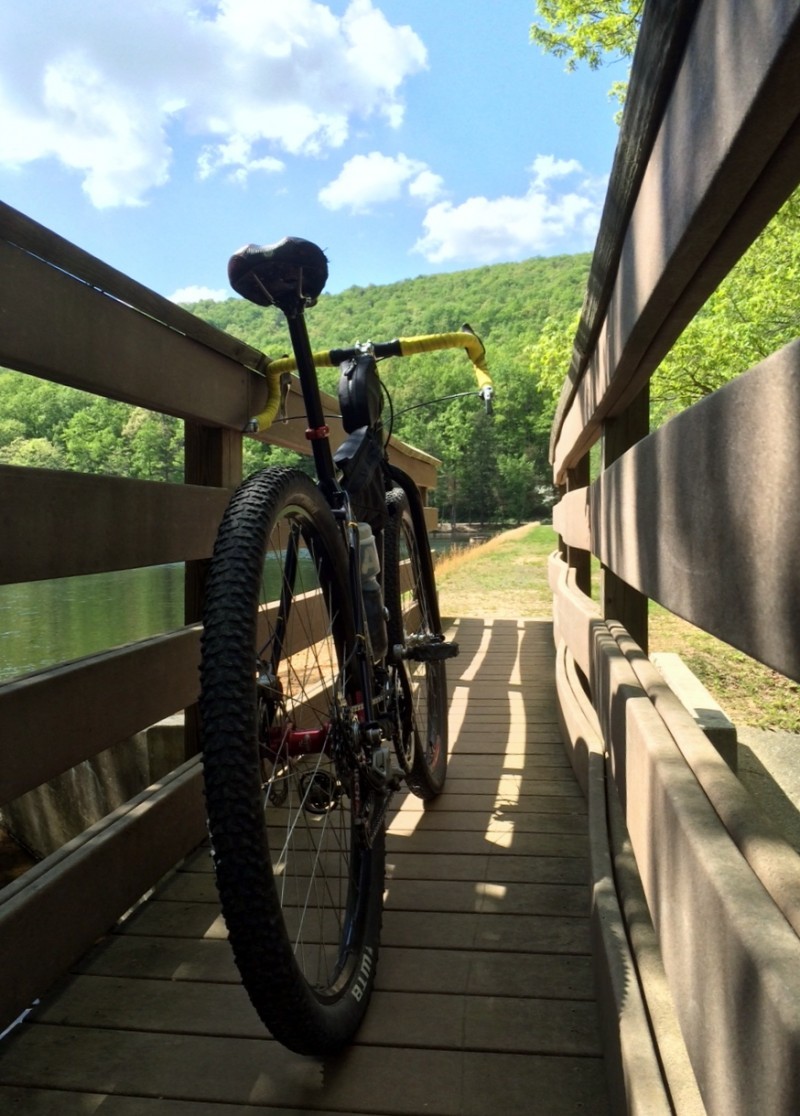 Rear view of a Surly Karate Monkey bike, parked against the handrail of a pedestrian bridge over water, with trees ahead