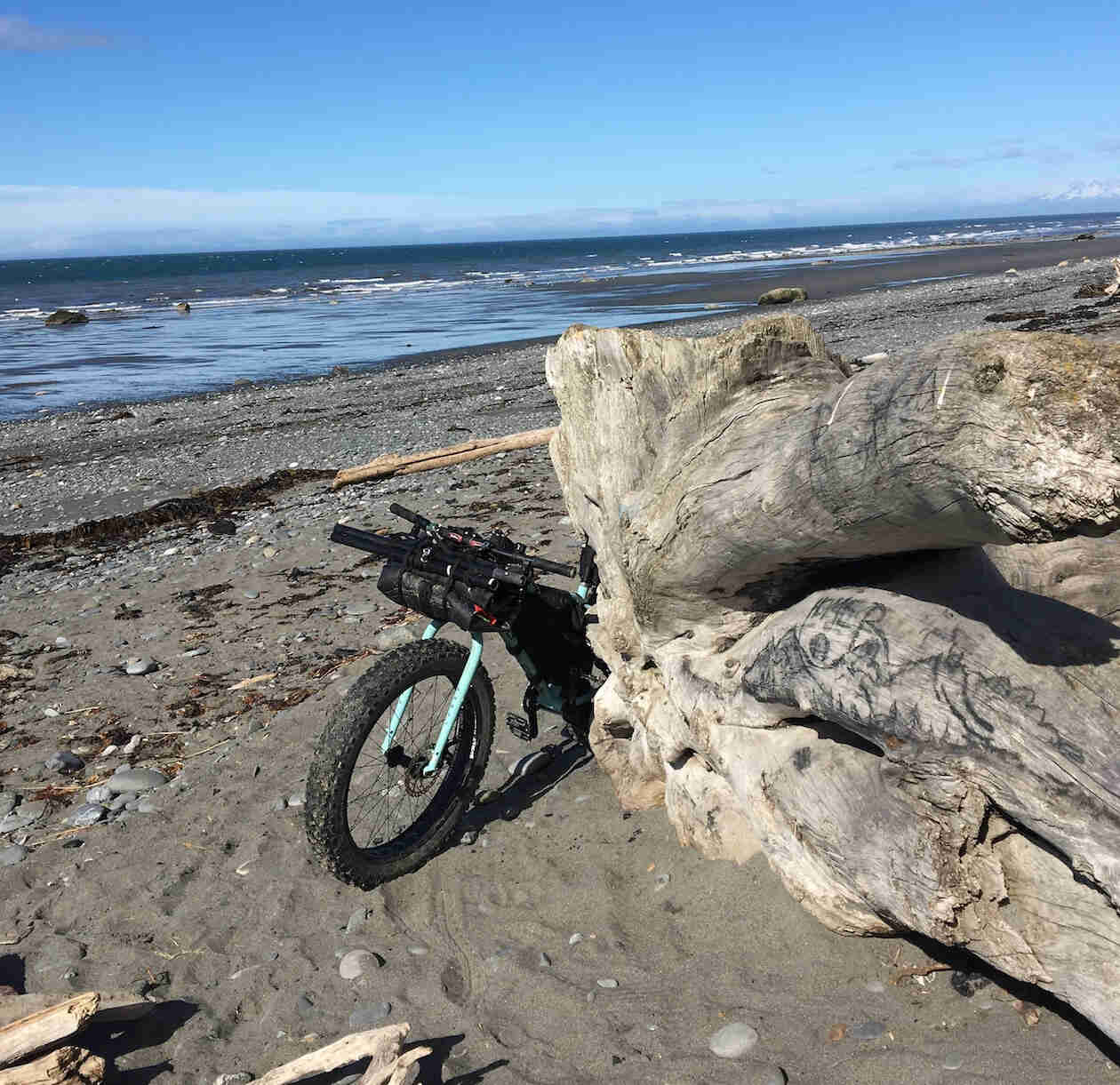 The front of a Surly fat bike sticks out from behind a large log, on a seashore, with water in the background