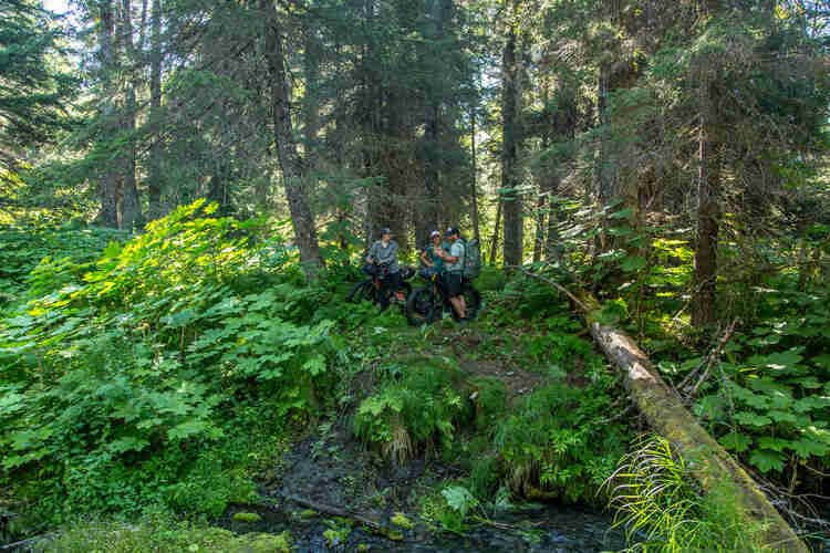Three cyclists standing in the forest with their fat bikes