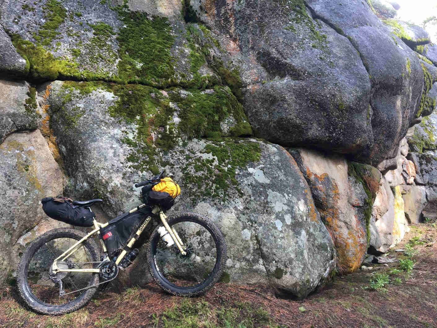 Right side view of a Surly ECR bike, loaded with gear, against a rock wall