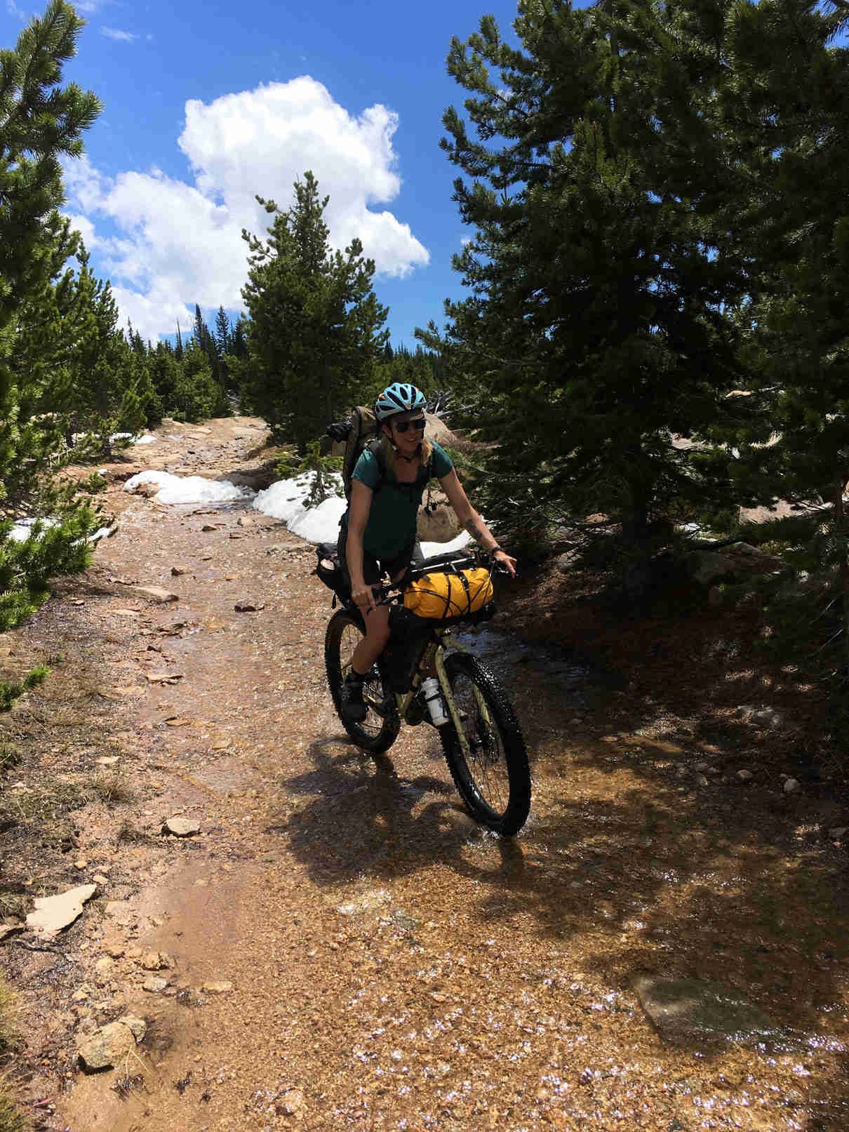 Front view of a cyclist riding a Surly ECR bike up a rocky trail hill with pine trees on the side