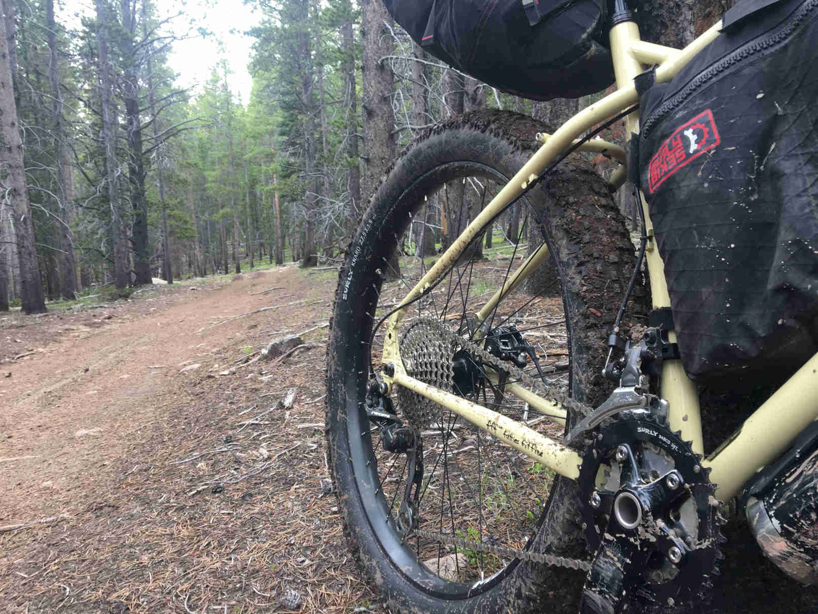 Right side, back end view of a tan Surly ECR bike, on the side of a dirt trail in a pine forest 