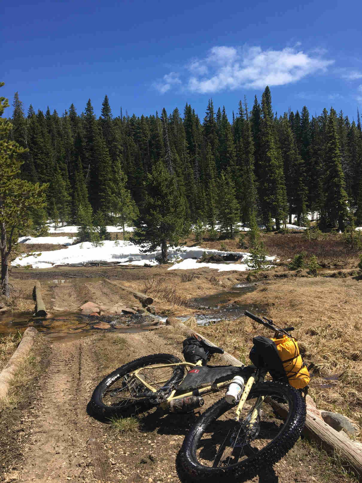 Front view of a Surly ECR bike laying on a gravel forest road, with pines and snow patches in the background