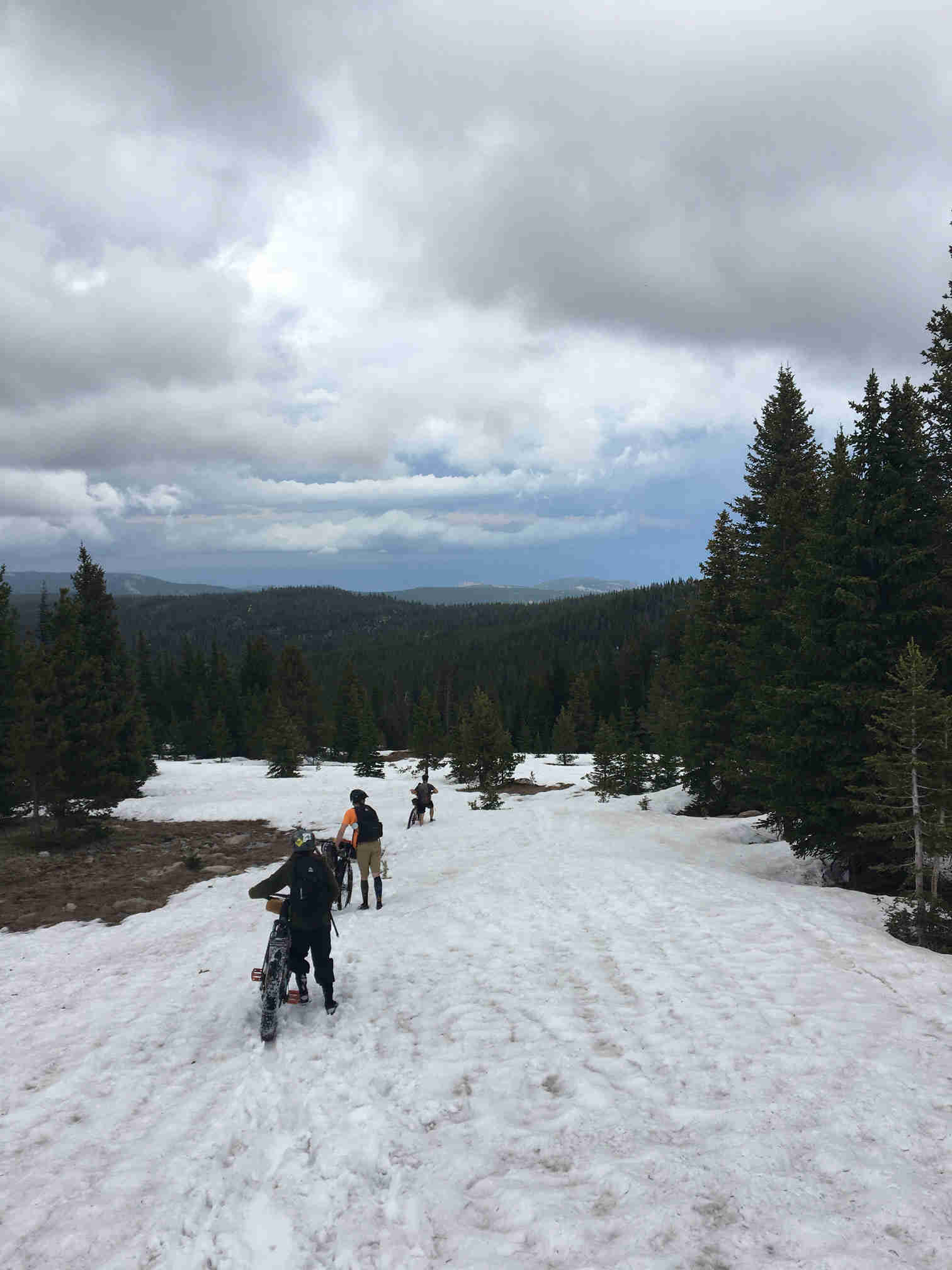 Rear view of 3 cyclists walking their bikes down a snowy hill, with pine trees and mountains ahead