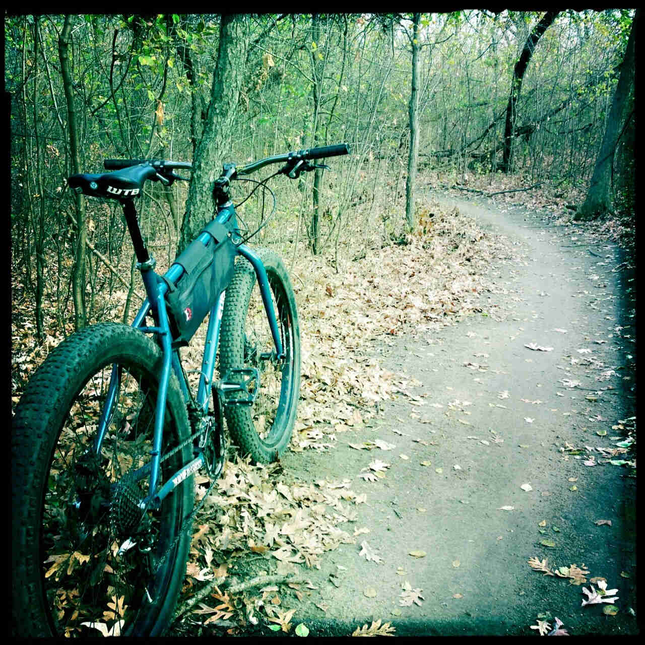 Rear, right side view green Surly Krampus bike with a frame bag, parked on leaves, beside a dirt trail in the woods