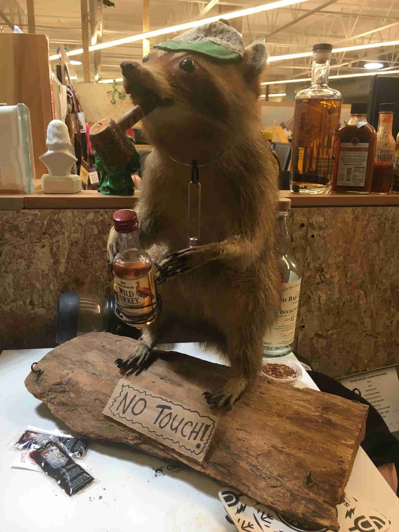A taxidermied raccoon, with a cap, corncob pipe in it's mouth and holding a small bottle of whisky